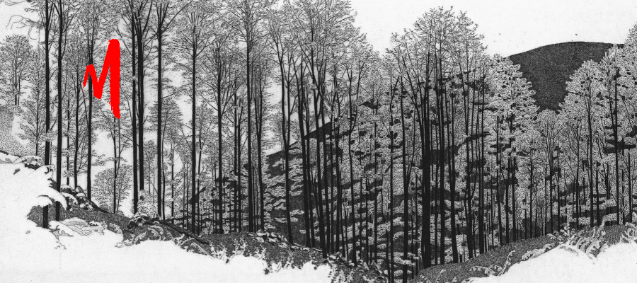 Federica Galli, Bosco del Cansiglio, 1995